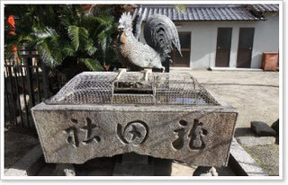 龍田神社の鶏.jpg